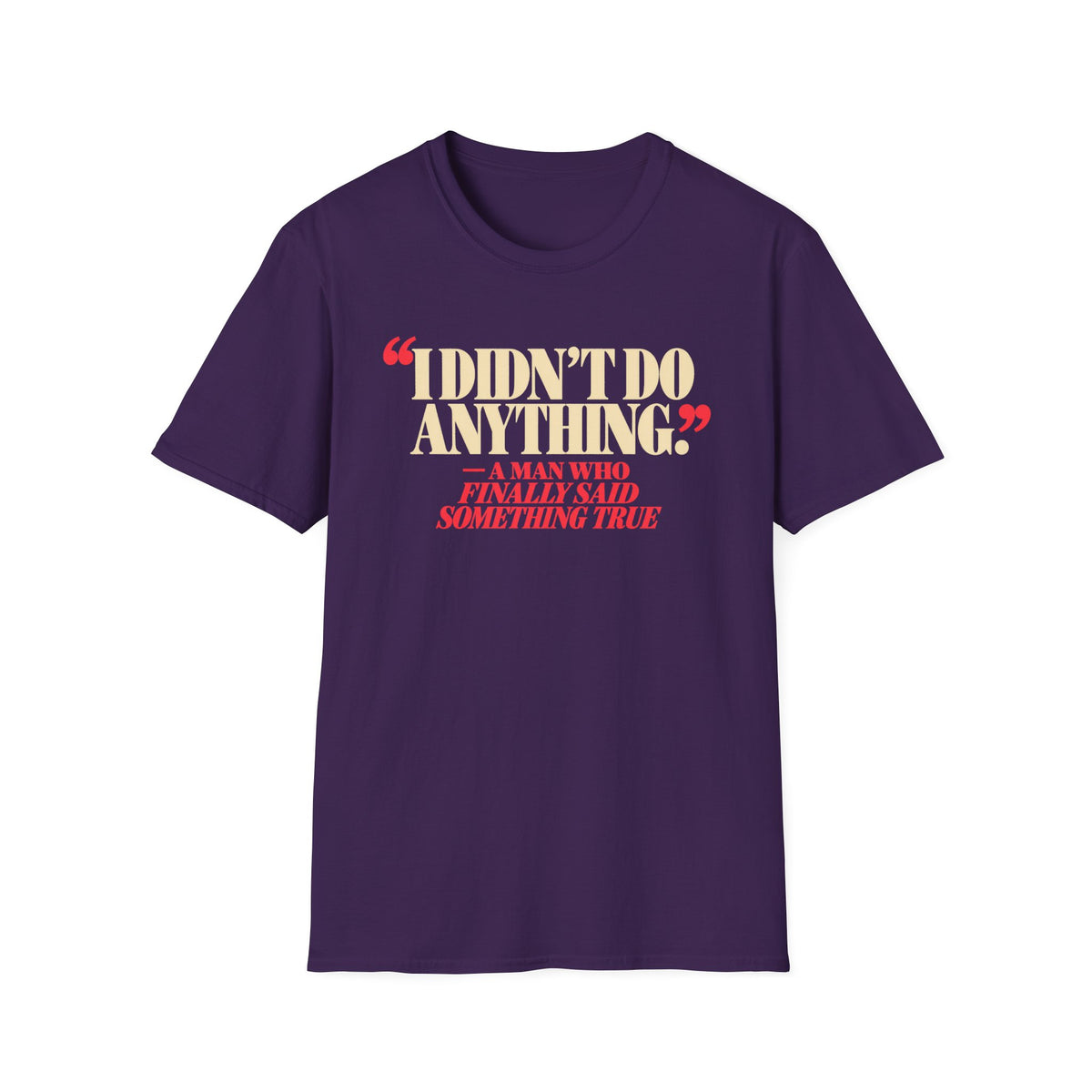I Didn't Do Anything