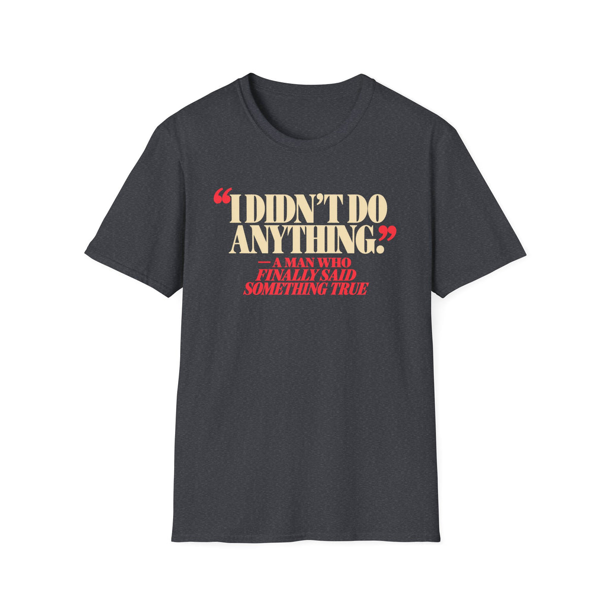 I Didn't Do Anything