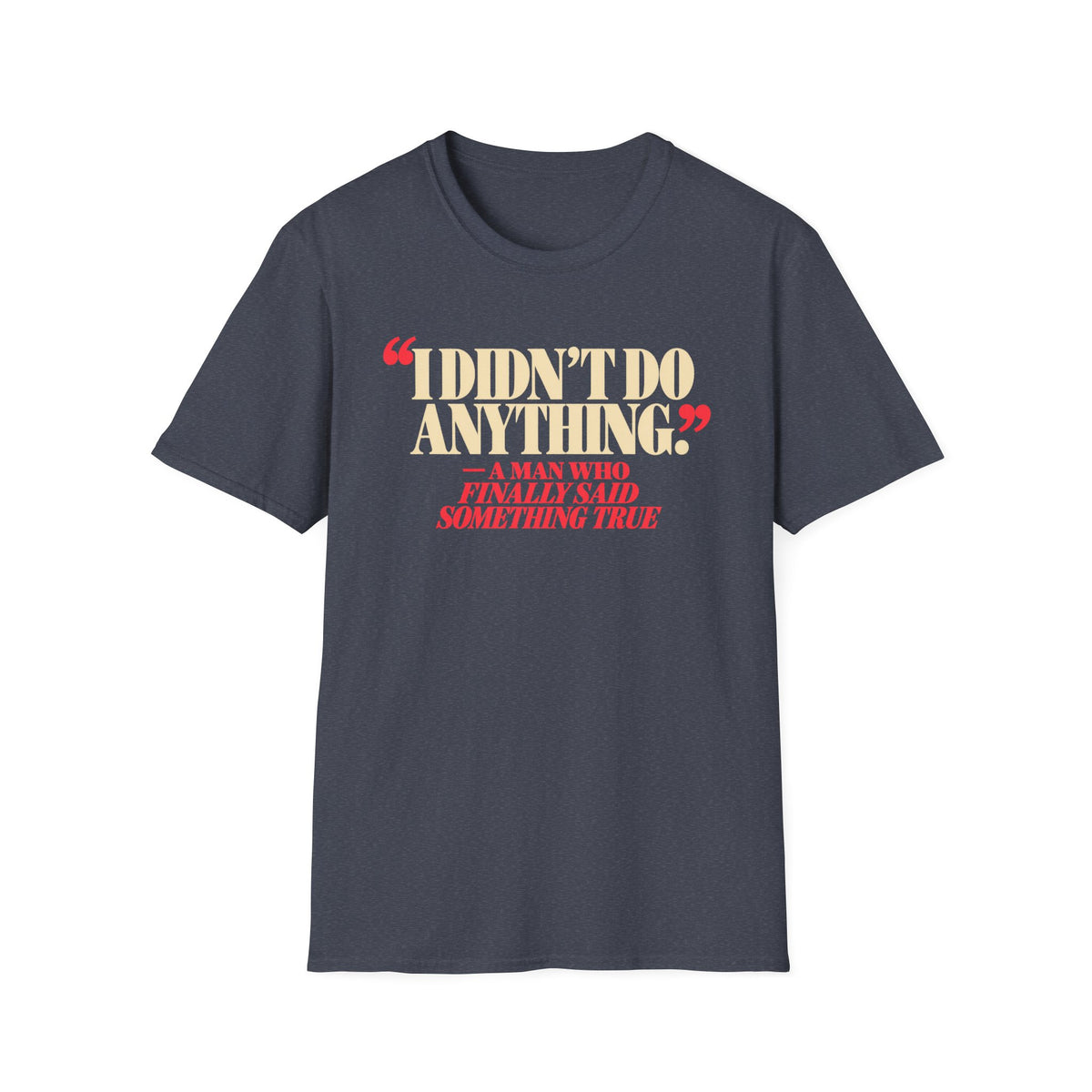 I Didn't Do Anything